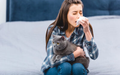 Durchatmen leicht gemacht: Warum Fliesen Allergien den Kampf ansagen